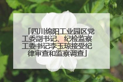四川绵阳工业园区党工委副书记、纪检监察工委书记李玉琼接受纪律审查和监察调查