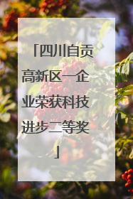 四川自贡高新区一企业荣获科技进步二等奖