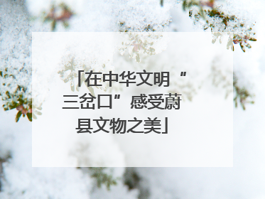 在中华文明“三岔口”感受蔚县文物之美