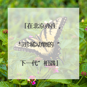 在北京亦庄，与珍稀动物的“下一代”相遇