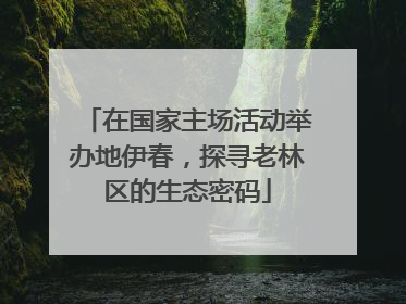 在国家主场活动举办地伊春，探寻老林区的生态密码