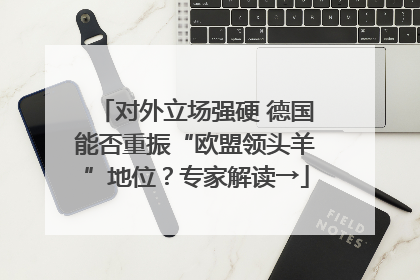 对外立场强硬 德国能否重振“欧盟领头羊”地位？专家解读→