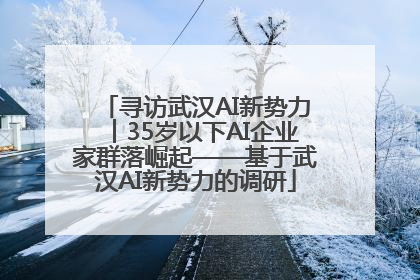 寻访武汉AI新势力︱35岁以下AI企业家群落崛起——基于武汉AI新势力的调研