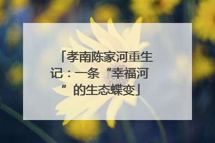 孝南陈家河重生记：一条“幸福河”的生态蝶变