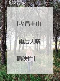 孝昌丰山：雨后天晴插秧忙