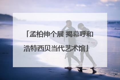 孟柏伸个展 揭幕呼和浩特西贝当代艺术馆