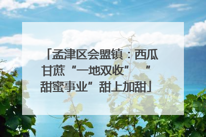 孟津区会盟镇：西瓜甘蔗“一地双收” “甜蜜事业”甜上加甜