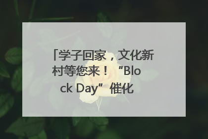 学子回家，文化新村等您来！“Block Day”催化学院式街区新生态