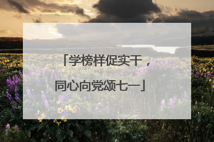 学榜样促实干，同心向党颂七一