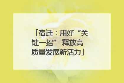 宿迁：用好“关键一招” 释放高质量发展新活力
