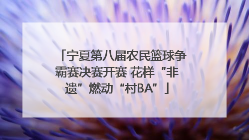 宁夏第八届农民篮球争霸赛决赛开赛 花样“非遗”燃动“村BA”