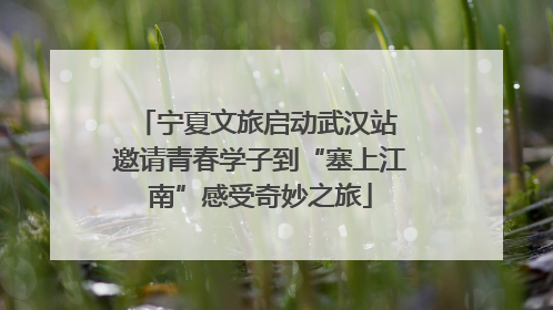 宁夏文旅启动武汉站 邀请青春学子到“塞上江南”感受奇妙之旅