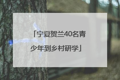 宁夏贺兰40名青少年到乡村研学