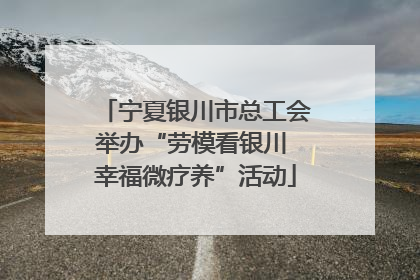 宁夏银川市总工会举办“劳模看银川 幸福微疗养”活动