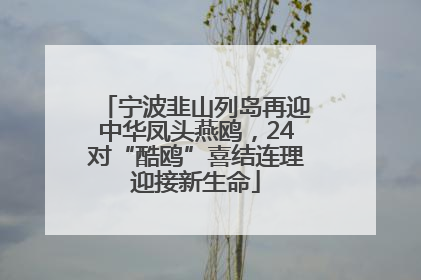 宁波韭山列岛再迎中华凤头燕鸥，24对“酷鸥”喜结连理迎接新生命