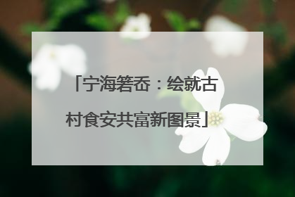 宁海箬岙：绘就古村食安共富新图景