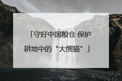 守好中国粮仓 保护耕地中的“大熊猫”