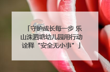守护成长每一步 乐山洙泗塘幼儿园用行动诠释“安全无小事”