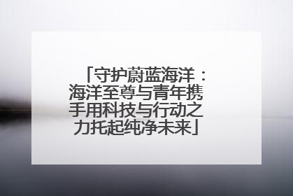 守护蔚蓝海洋：海洋至尊与青年携手用科技与行动之力托起纯净未来