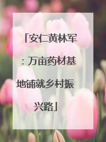 安仁黄林军：万亩药材基地铺就乡村振兴路