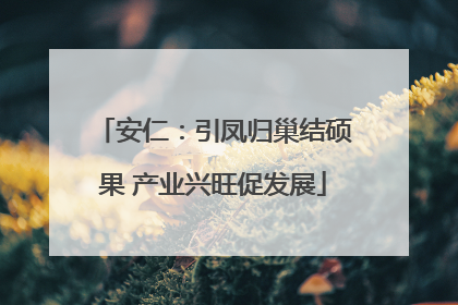 安仁：引凤归巢结硕果 产业兴旺促发展
