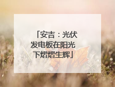 安吉：光伏发电板在阳光下熠熠生辉