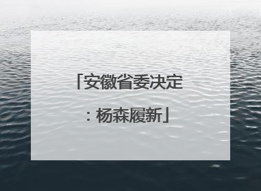 安徽省委决定：杨森履新