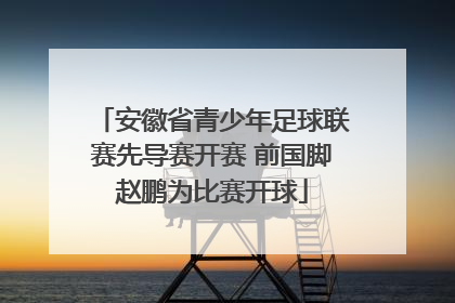 安徽省青少年足球联赛先导赛开赛 前国脚赵鹏为比赛开球