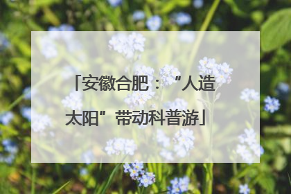 安徽合肥：“人造太阳”带动科普游