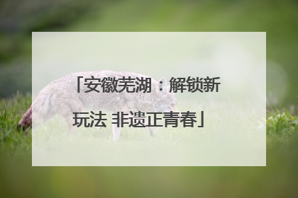 安徽芜湖：解锁新玩法 非遗正青春
