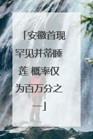 安徽首现罕见并蒂睡莲 概率仅为百万分之一