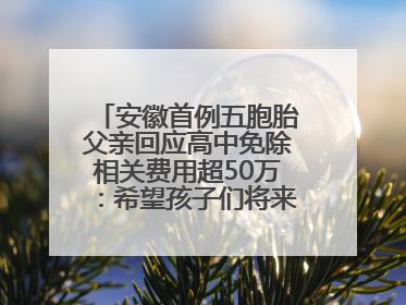安徽首例五胞胎父亲回应高中免除相关费用超50万：希望孩子们将来不辜负社会各界的帮助与支持