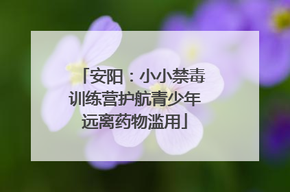 安阳：小小禁毒训练营护航青少年远离药物滥用