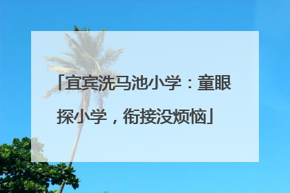 宜宾洗马池小学：童眼探小学，衔接没烦恼