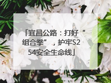 宜昌公路：打好“组合拳”，护牢S254安全生命线