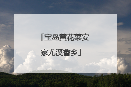 宝岛黄花菜安家尤溪畲乡