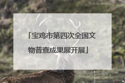 宝鸡市第四次全国文物普查成果展开展
