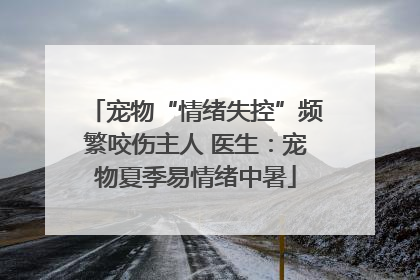 宠物“情绪失控”频繁咬伤主人 医生：宠物夏季易情绪中暑