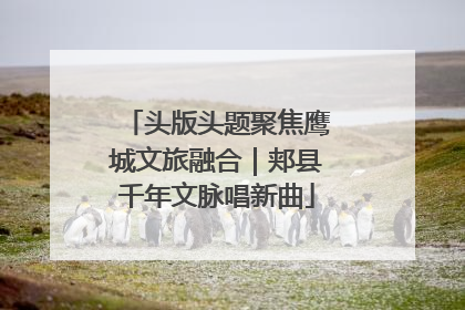 头版头题聚焦鹰城文旅融合｜郏县千年文脉唱新曲