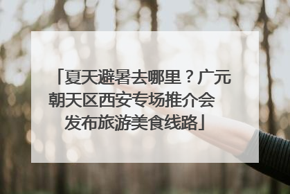 夏天避暑去哪里？广元朝天区西安专场推介会 发布旅游美食线路
