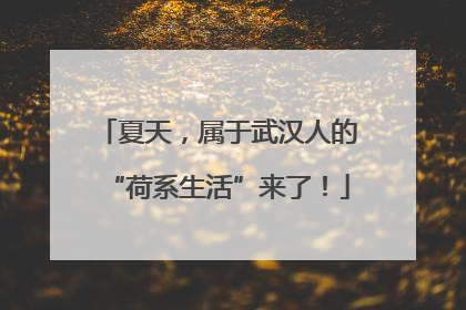 夏天，属于武汉人的“荷系生活”来了！