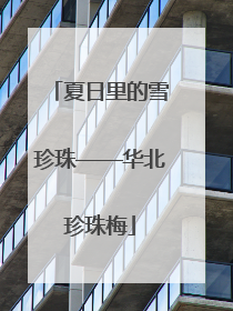 夏日里的雪珍珠——华北珍珠梅