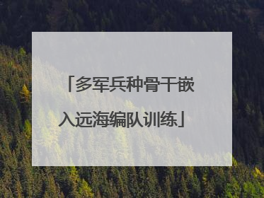 多军兵种骨干嵌入远海编队训练