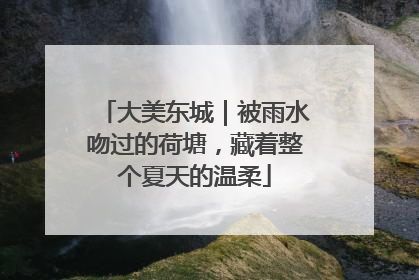 大美东城｜被雨水吻过的荷塘，藏着整个夏天的温柔