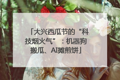 大兴西瓜节的“科技烟火气”：机器狗搬瓜、AI摊煎饼