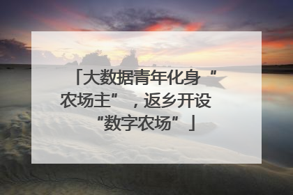 大数据青年化身“农场主”，返乡开设“数字农场”