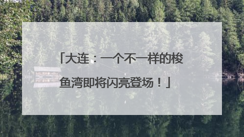 大连：一个不一样的梭鱼湾即将闪亮登场！