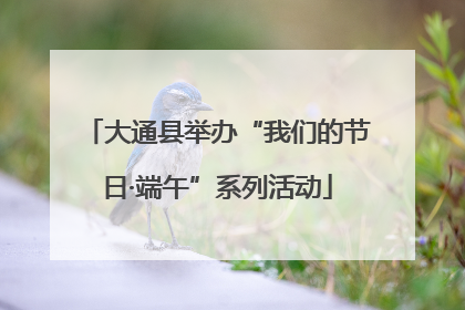 大通县举办“我们的节日·端午”系列活动