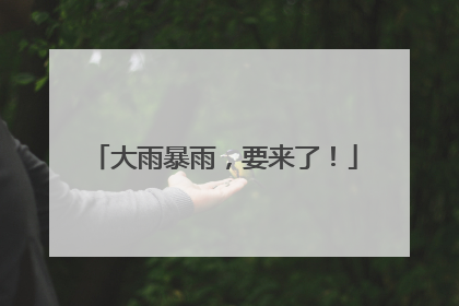 大雨暴雨,要来了!
