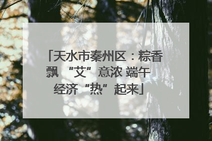 天水市秦州区：粽香飘 “艾”意浓 端午经济“热”起来